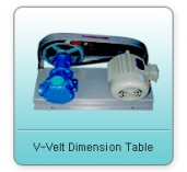 V-Velt Dimension Table